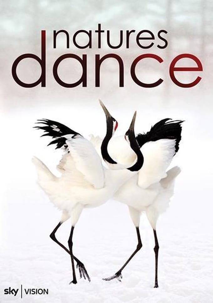 Natures dance