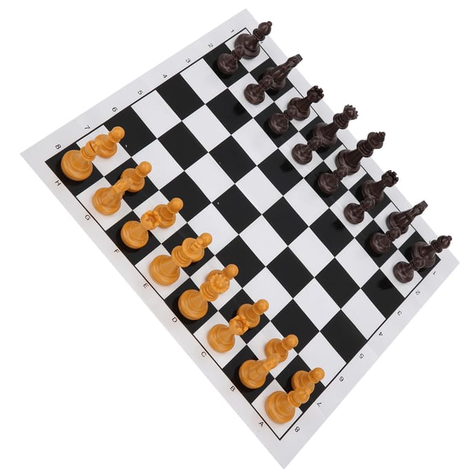 Plastic 2 in 1 Internationaal Schaken Dammen Set Draagbare Reisspellen Intelligent Speelgoed black