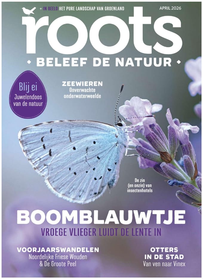 Roots Magazine 2026 editie 4
