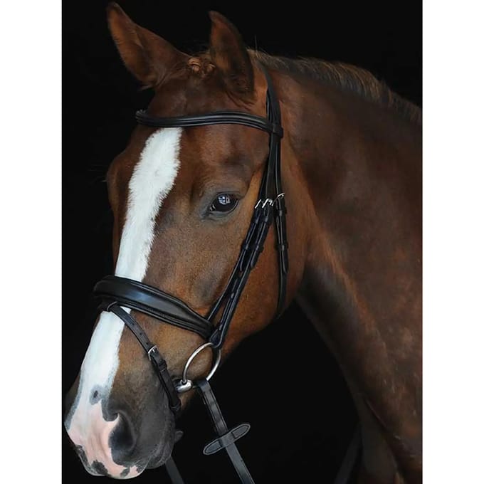 Gewatteerde hoofdstellen Weatherbeeta Collegiate Mono Crown