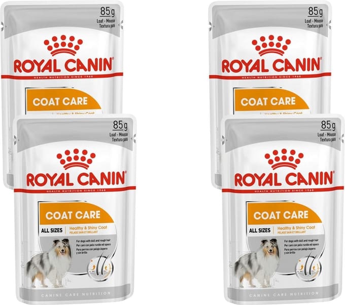 Royal Canin - Coat Care Hondenvoer Nat - 48 x 85 gr