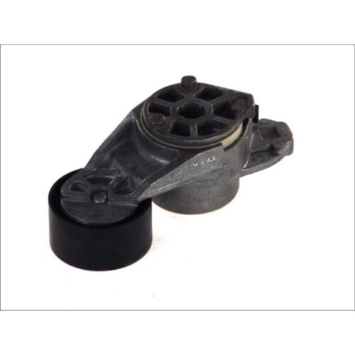 Schaeffler Ina Riemspanner, Poly V-riem INA 534 0258 10