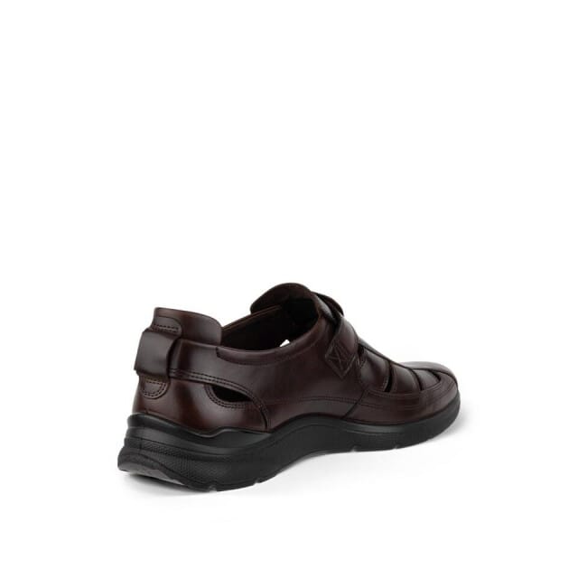 ECCO 511764