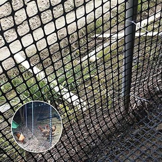 Pluimvee Net - Gevogelte Gaas - Dieren Beschermen - Zware Herbruikbare Kwaliteit - 1.5x5 Meter - Zwart