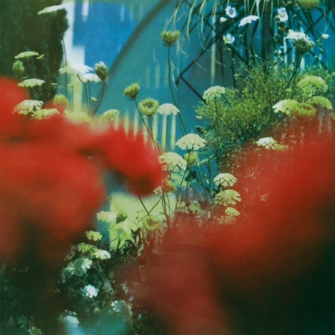 Haze - Pulled Apart By Horses
