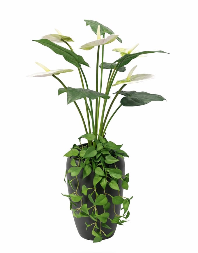 UNUS kunstbloem kunstplant met vaas anthurium wit met hangende klimop 77 cm