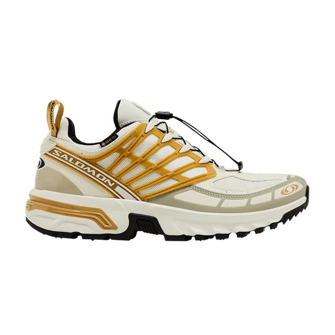 Salomon ACS Pro GORE-TEX 'Icicle Antelope' 44
