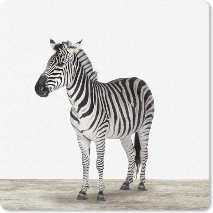 Muismat 20x20 cm - Mousepad Dieren - Zebra - Zwart - Wit - Muismatten