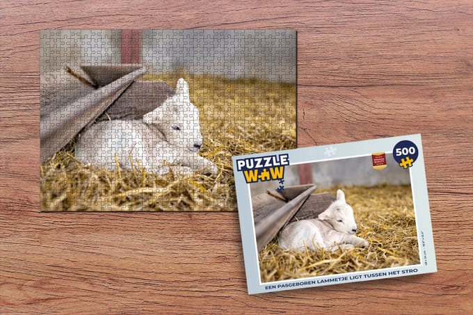 Puzzel Een pasgeboren lammetje ligt tussen het stro - Legpuzzel - Puzzel 500 stukjes