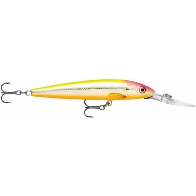 Ophangen van kunstaas Rapala down deep husky jerk 10 cm