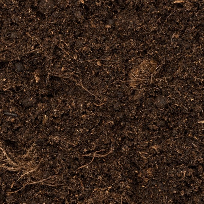 Turf - Supplementen - Nestmateriaal - Pruimkopparkiet (Psittacula cyanocephala)