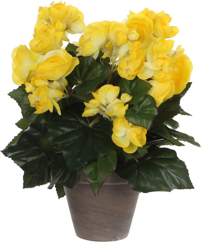 Mica Decorations Begonia Kunstplant in Bloempot Stan - H30 x Ø25 cm - Geel