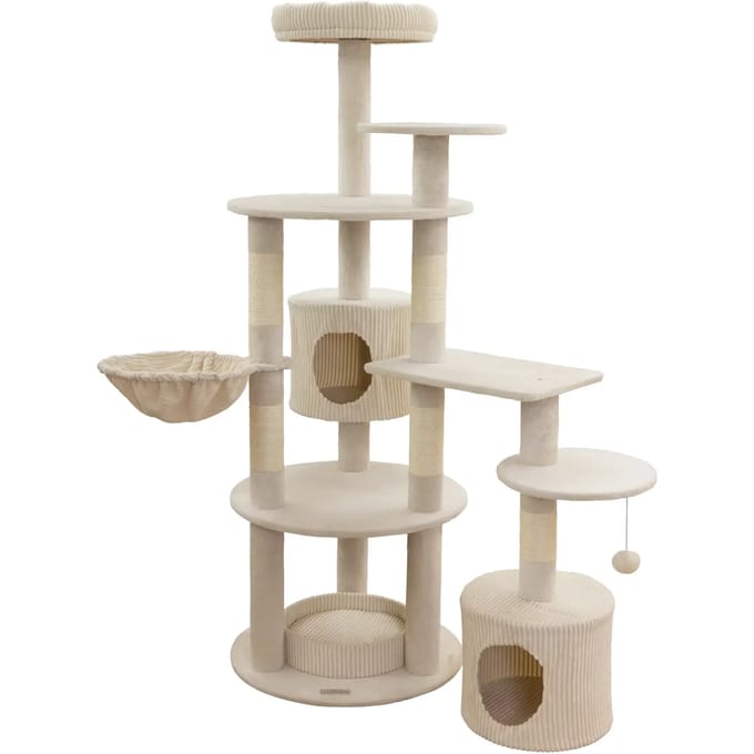 Kattenboom Kerbl Annika