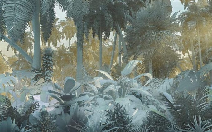 Fotobehang Misty Jungle - Meerkleurig - 2,50m X 400cm