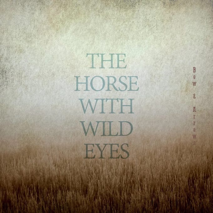 Horse With Wild Eyes - Bow & Arrows (CD)