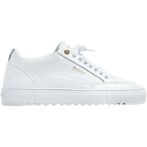 Tia Squali Sneaker