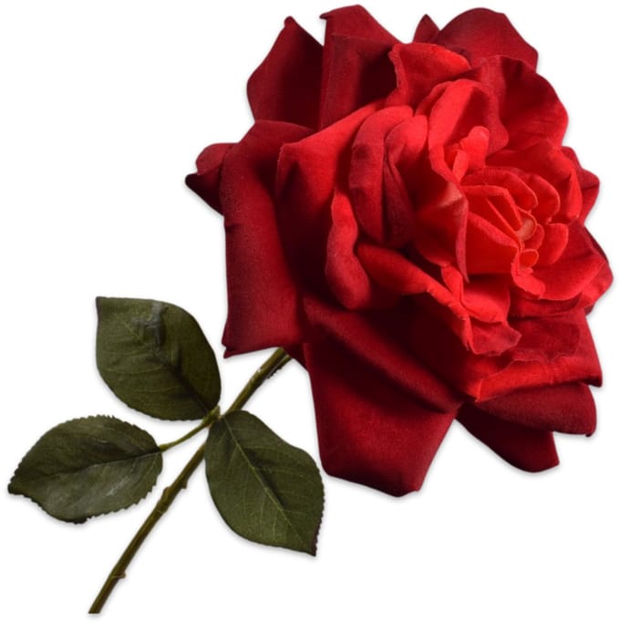 Silk-ka Roos tak rood 65 cm