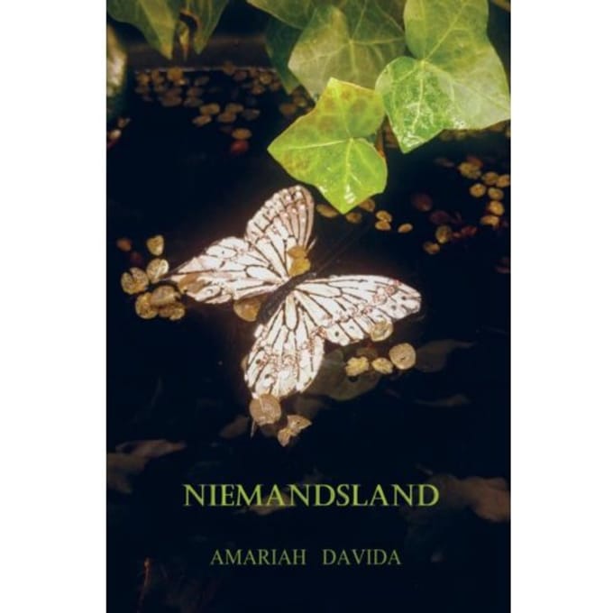 Niemandsland - Amariah Davida