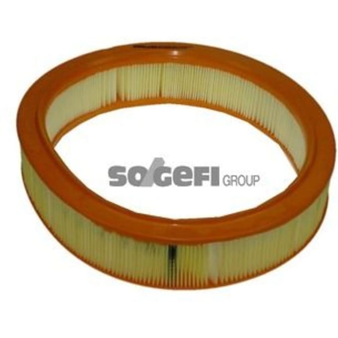 Luchtfilter PURFLUX A1058