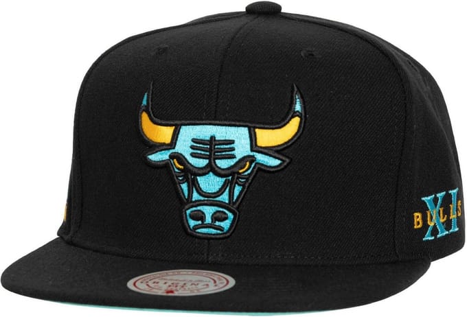 NBA Core XI Chicago Bulls Trucker Cap Zwart Snapback