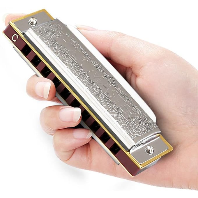 Harmonica Blues 10 Trous Clé C A F D G B E Harmonica à Bouche Boîtier en Bronze Phosphoreux Harmonica Diatonique Blues Harp Débutant Pour Enfants gray
