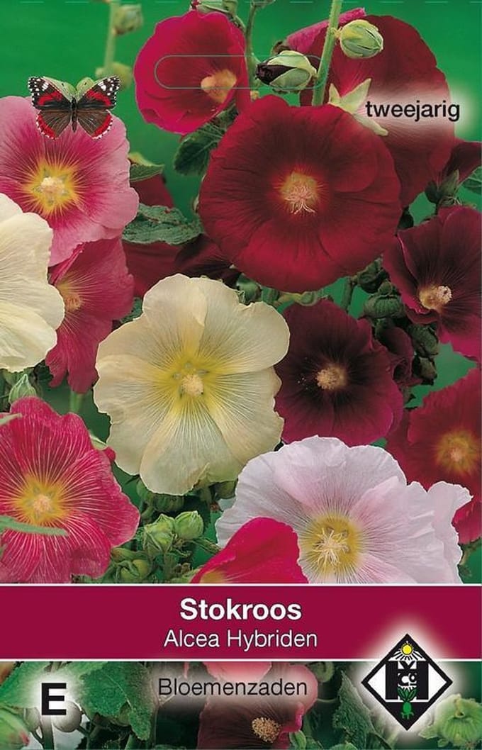2 stuks Alcea ficifolia Hybriden