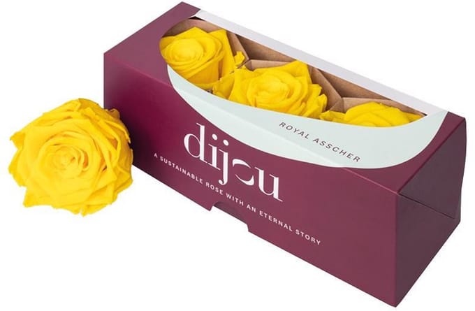 3x Dc pres.rozen sunny yellow 0012c