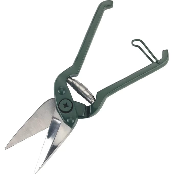 Schapen nagelknipper, ingekerfd Kerbl