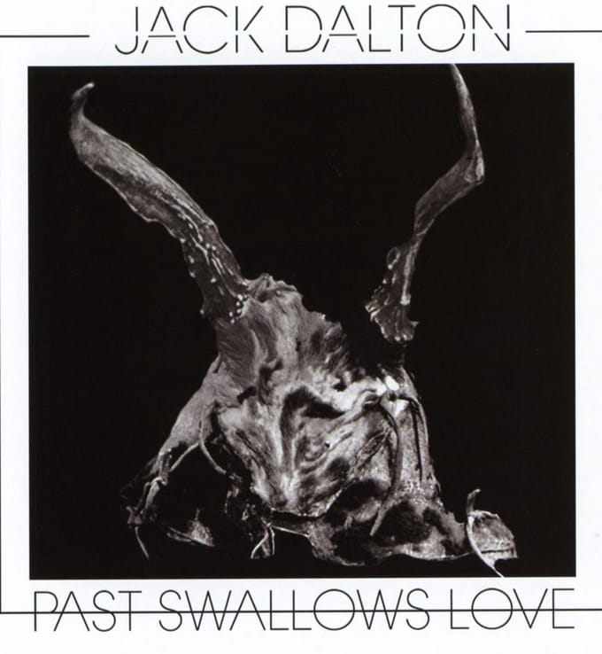 Past Swallows Love
