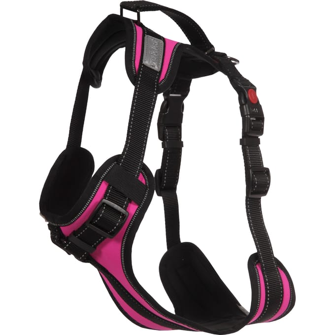 Rukka Harnas Solid, fuchsia M Borstomvang 65,–75 cm Hond