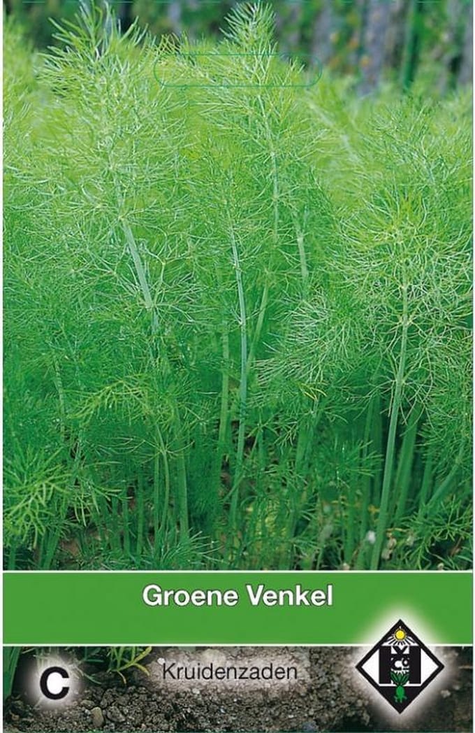 Van Hemert Zaden - Groene Venkel (Foeniculum vulgare)