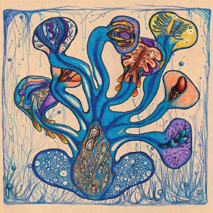 Houeida Hedfi - Fleuves De L'ame (2 LP)