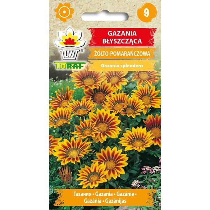 Gazania splendens geel-oranje bloemzaden-503 Toraf