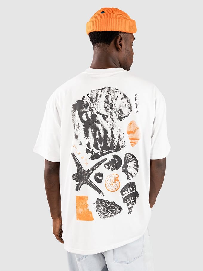 Nike ACG ACG Oc Fossils T-Shirt wit