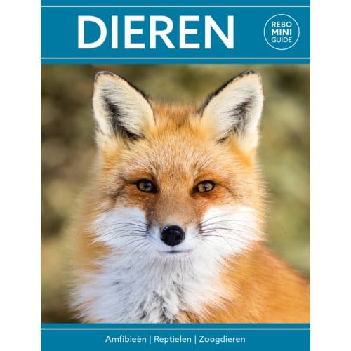 Rebo Mini Guide - Dieren - Rebo Mini Guide - Marianne Taylor