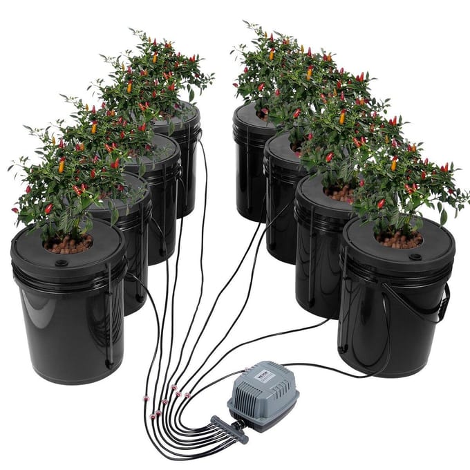 DWC Hydroponics Kweeksysteem Diep Water Cultuur 8 Bakken met Luchtpomp