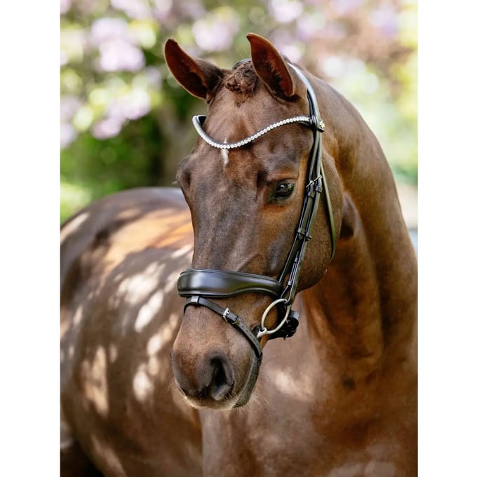 Anatomische paardenruiters biedingen LeMieux