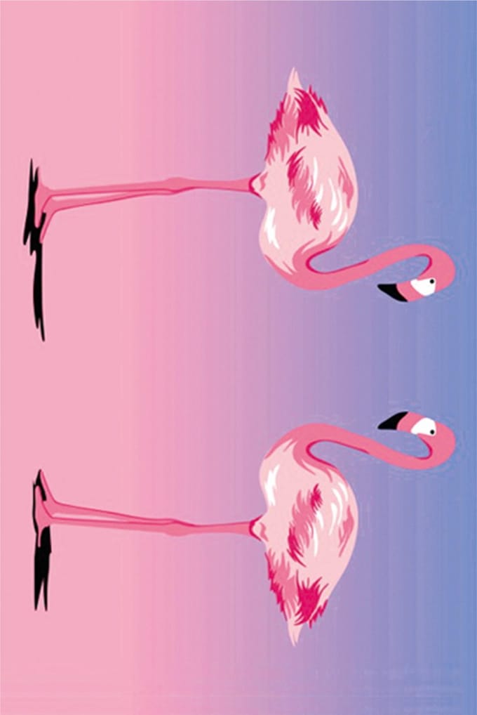 Diamond Painting Flamingo