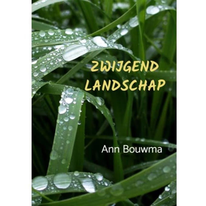 Zwijgend Landschap - Ann Bouwma