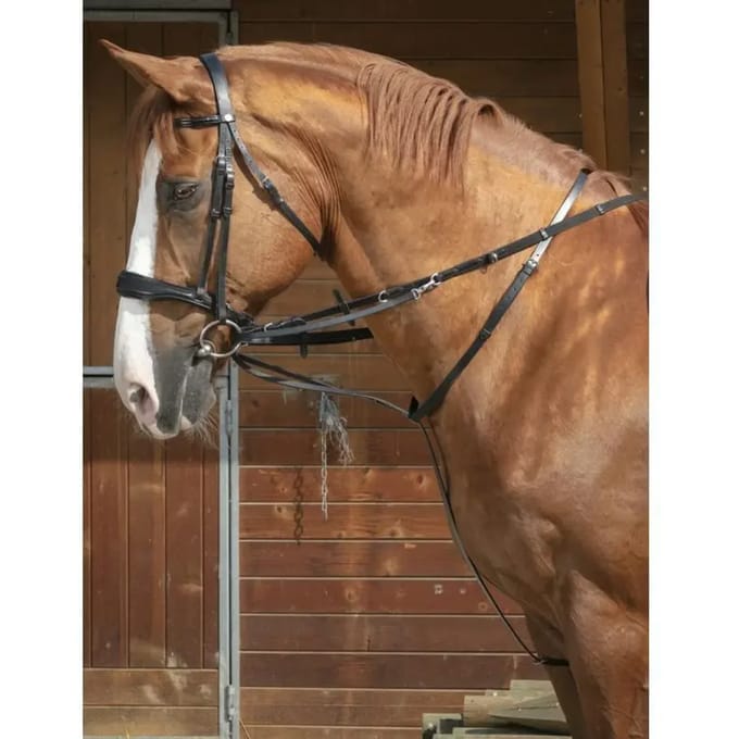 Paardenkoord teugels Norton Thiedeman