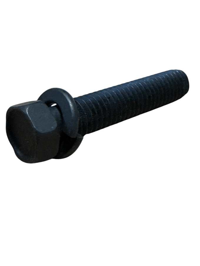 Screw