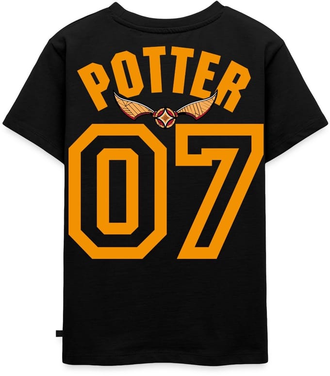 Harry Potter Gryffindor Quidditch Potter Premium T Shirt Kinderen