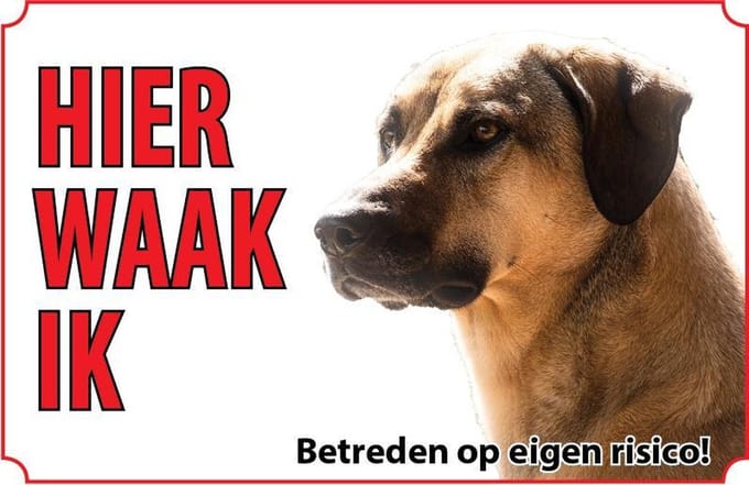 Bord - Hond-Anatolische- herder-Kangal