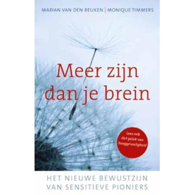 Meer Zijn Dan Je Brein - Marian van den Beuken