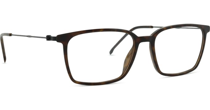 Hugo Boss BOSS 1704 Havana black 55/17/150 MAN Brilmonturen