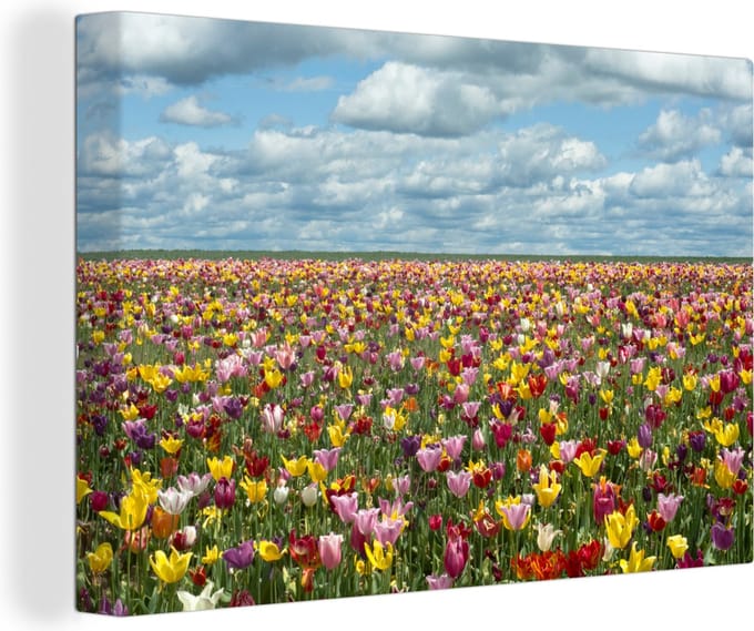 Canvas Schilderij Tulpen - Kleuren - Wolken - 60x40 cm - Wanddecoratie