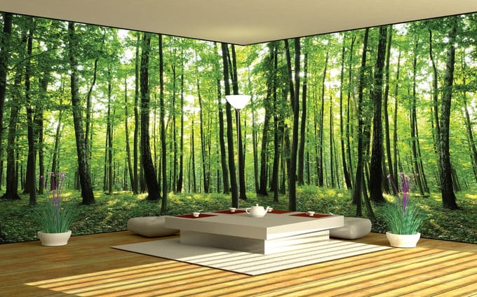 Fotobehang Vlies Bos, Natuur | Groen | GROOT 624x219cm