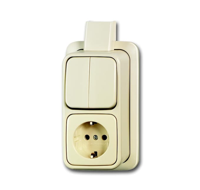 ABB Busch-Jaeger Combinatieschakelaar Contactdoos Met Montageplaat - 2CKA001641A0234