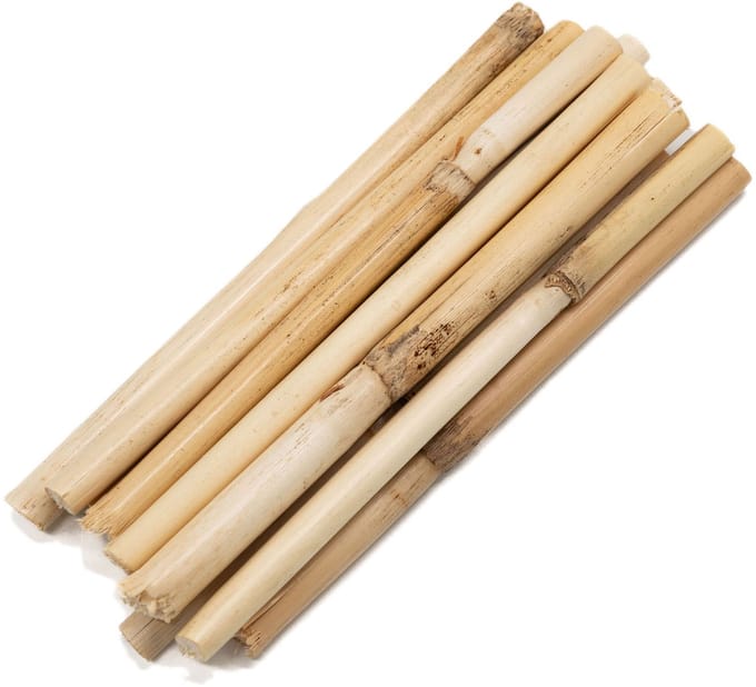 Colorations - Short Bamboo Sticks 10-12cm 10 pcs.
