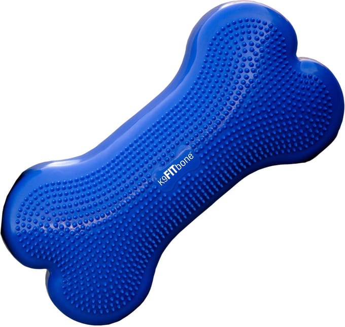 FitPAWS K9Fitbone - Sky Blue